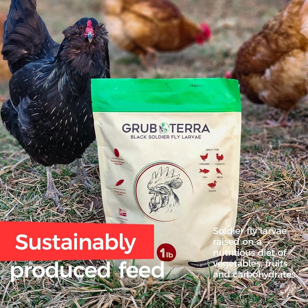 Bird Feed Mix